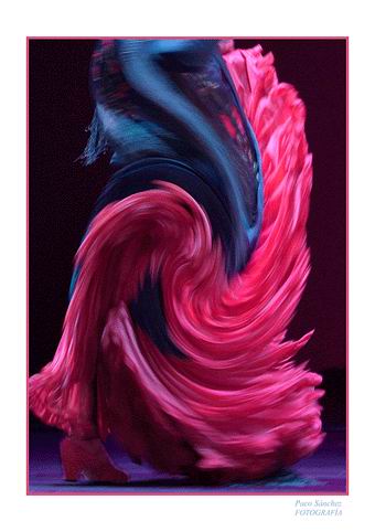 The photografic prints of Flamenco 01
