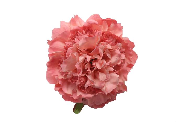 Fleur de Pivoine Flamenca aux Teintes Rose. 16 cm