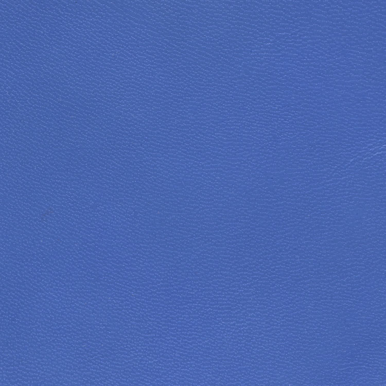C-395 - Bleu bleuet
