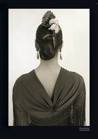 Les planches photographiques du Flamenco 02