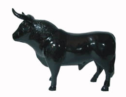 Black bull. Magnet