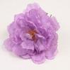 瓦伦西亚牡丹。弗拉门戈花。紫色的。 12厘米