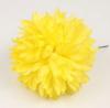佛兰芒菊花。黄色0.12cm