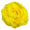 King Large Rose. Yellow Flamenco Flower. 17cm