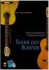 DVD教材　Soleá por Bulerías. Estudios progresivos para Guitarra Flamenca por Mehdi Mohagheghi