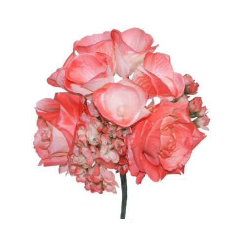 Bouquet de Fleurs de Flamenco