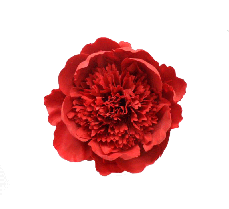 Fleur Flamenca en Rouge Leira. 16cm