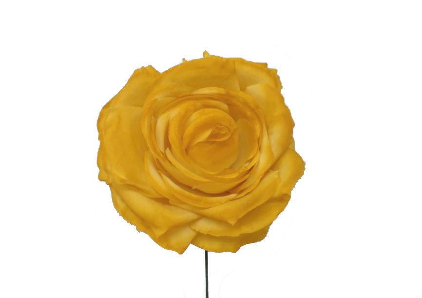 Flor Mediana Modelo Oporto. Amarillo. 11cm