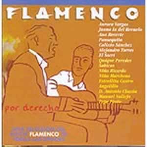 CD　Flamenco por derecho