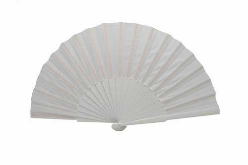 White economical large fan