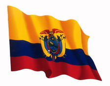 Autocollant du drapeau équatorien