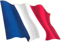 Autocollant du drapeau français