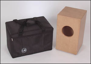 Padded canvas carrier bag