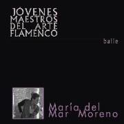 Young Masters of Flamenco Art - CD