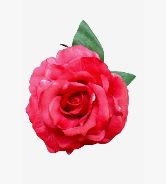 フラメンコバラコサージュ（花）フクシアピンク色染色 Maravilla. 16cm
