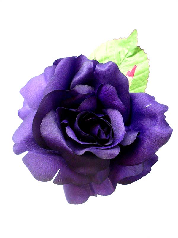 紫のフェリアコサ－ジュ. Cinthia モデル. 16cm