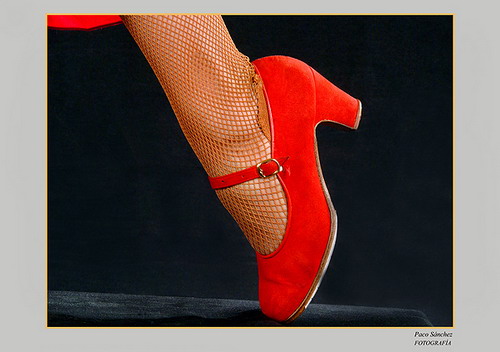 Láminas Fotográficas de Flamenco 04