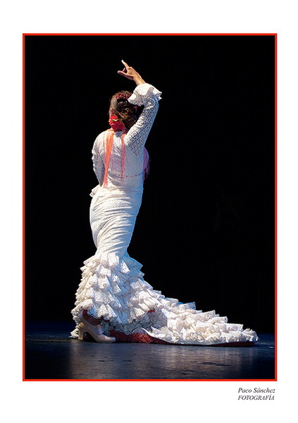 The photografic prints of Flamenco 05