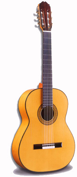 Flamenco Guitar. mod.145