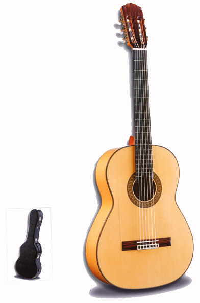 Flamenco Guitar. mod.160
