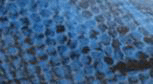 Product variant image