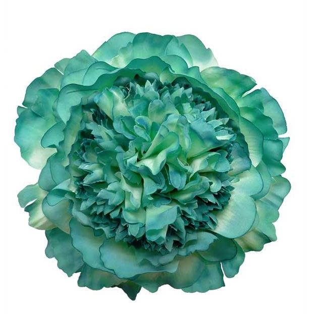 Flor flamenca pelo corto