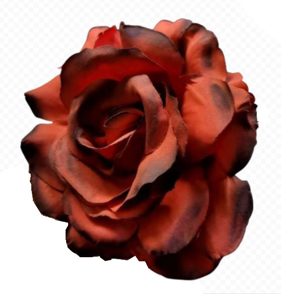 Rosa Pequeña Cádiz. 10cm. Rojo. RJ05