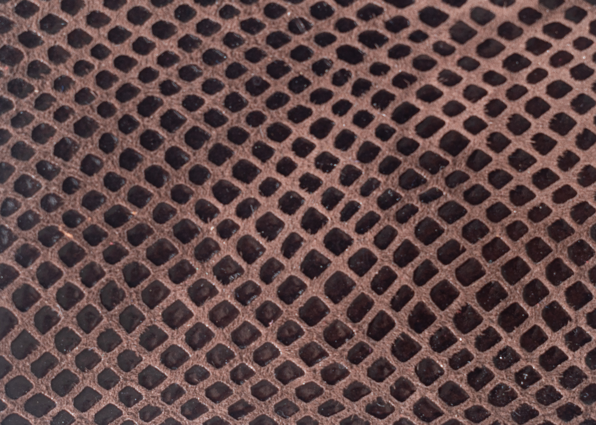 Estampadas - Serpiente marron