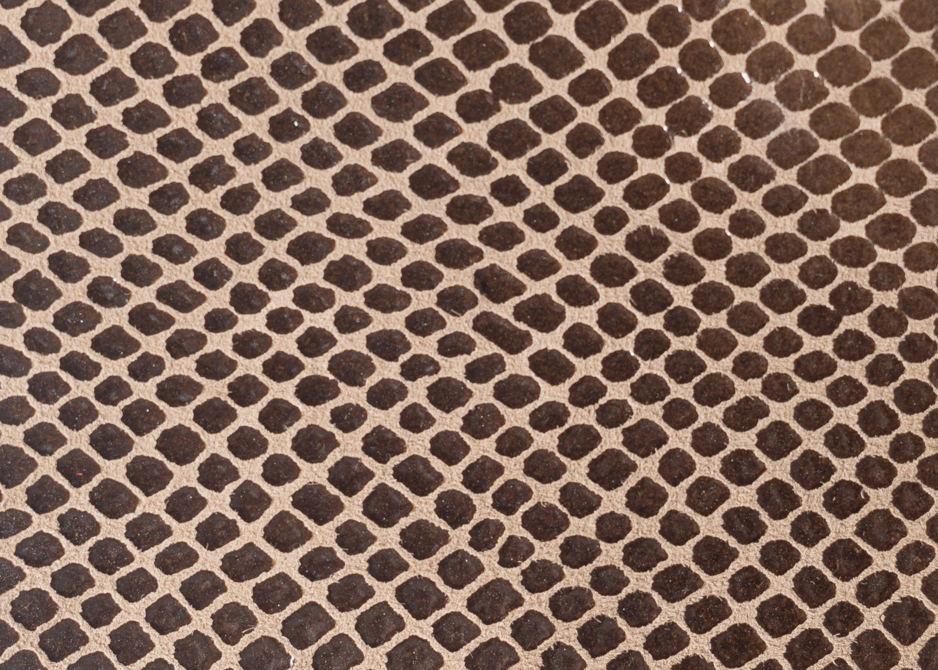 Estampadas - Serpiente marron claro