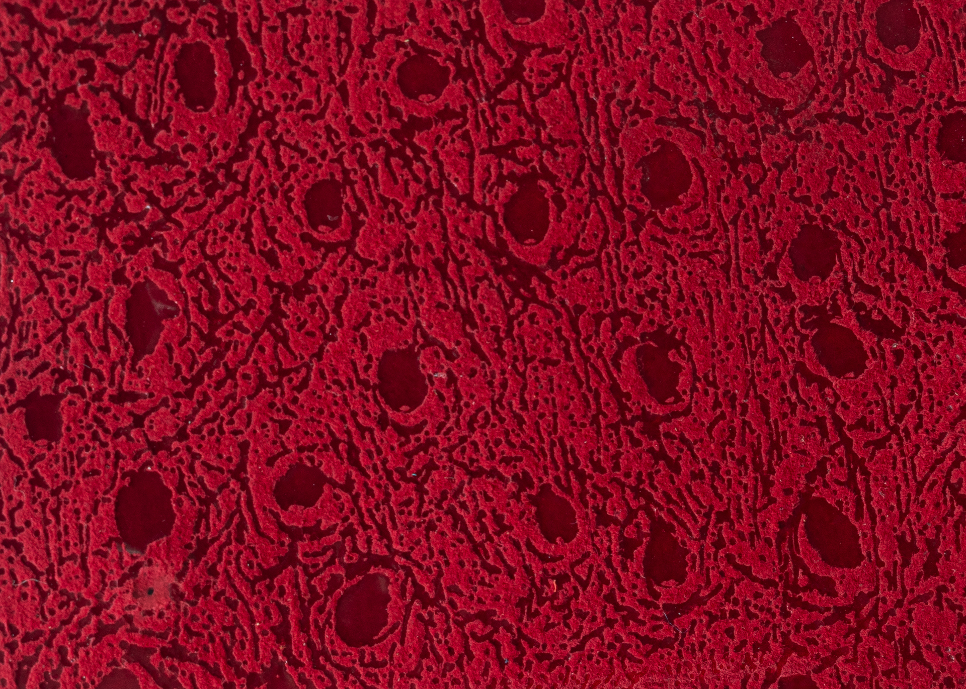 Estampadas - Avestruz burdeos