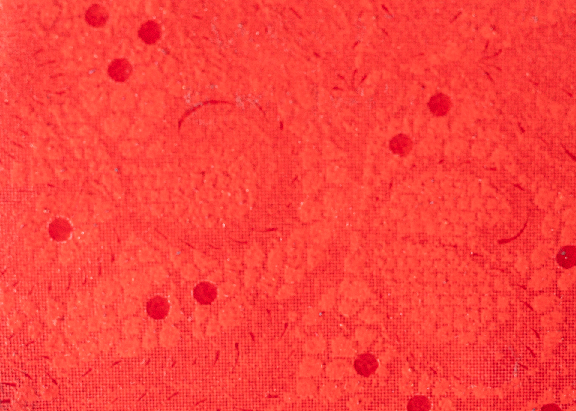 Estampadas - Encaje rojo