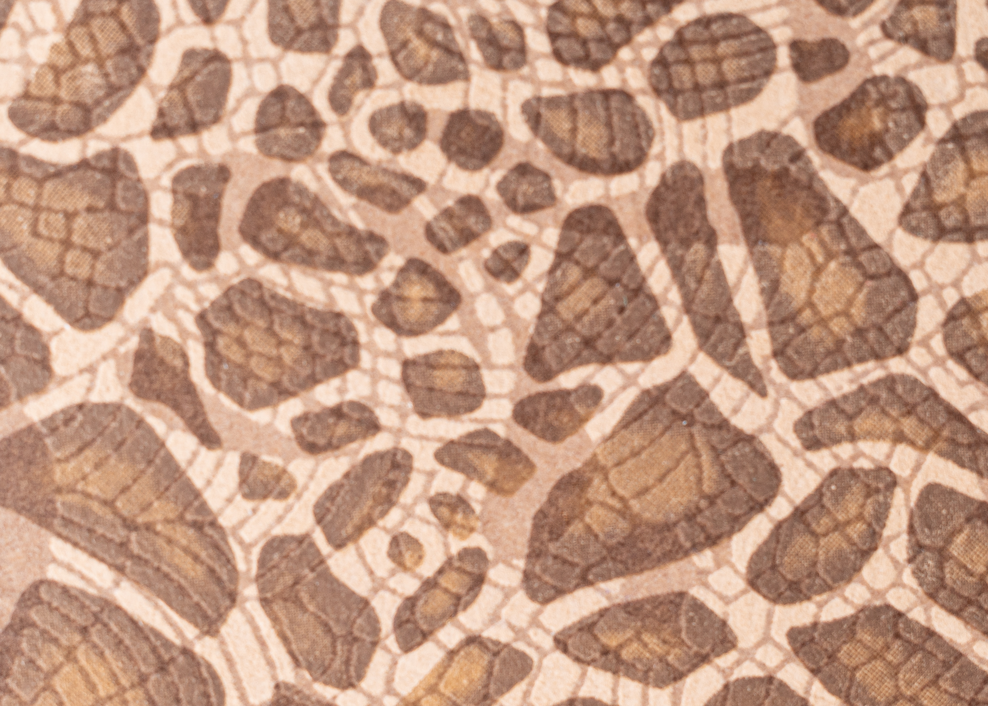 Estampadas - Tortuga beige