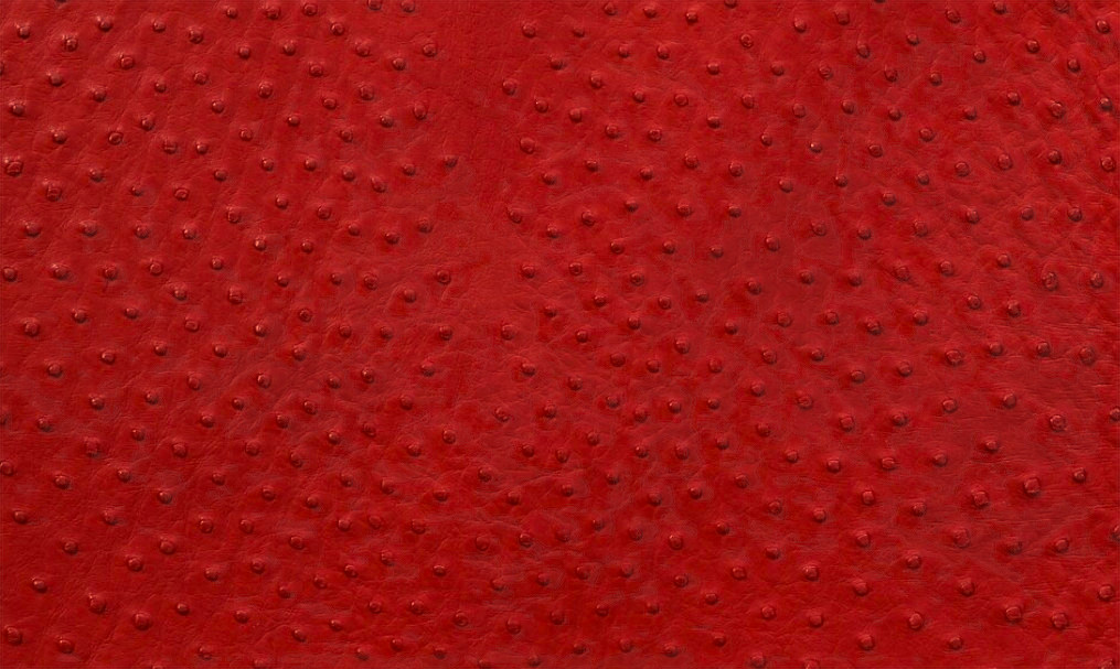 Especiales - Avestruz roja
