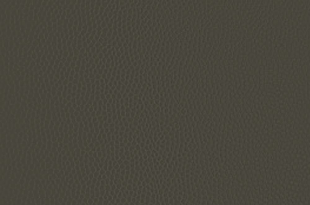 Piel - Gris 2144