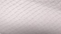 Serpiente - Blanco SN
