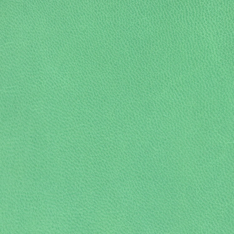 Piel - c-355