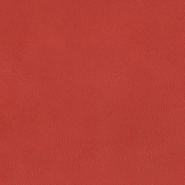 Piel - c-425
