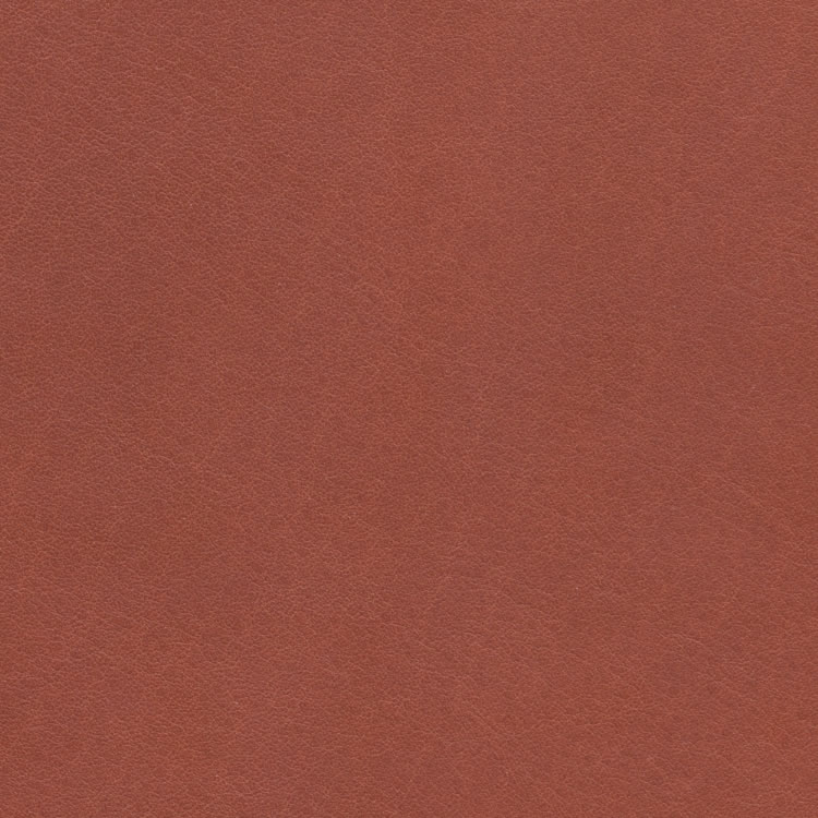 Piel - C-565 - Marrón claro