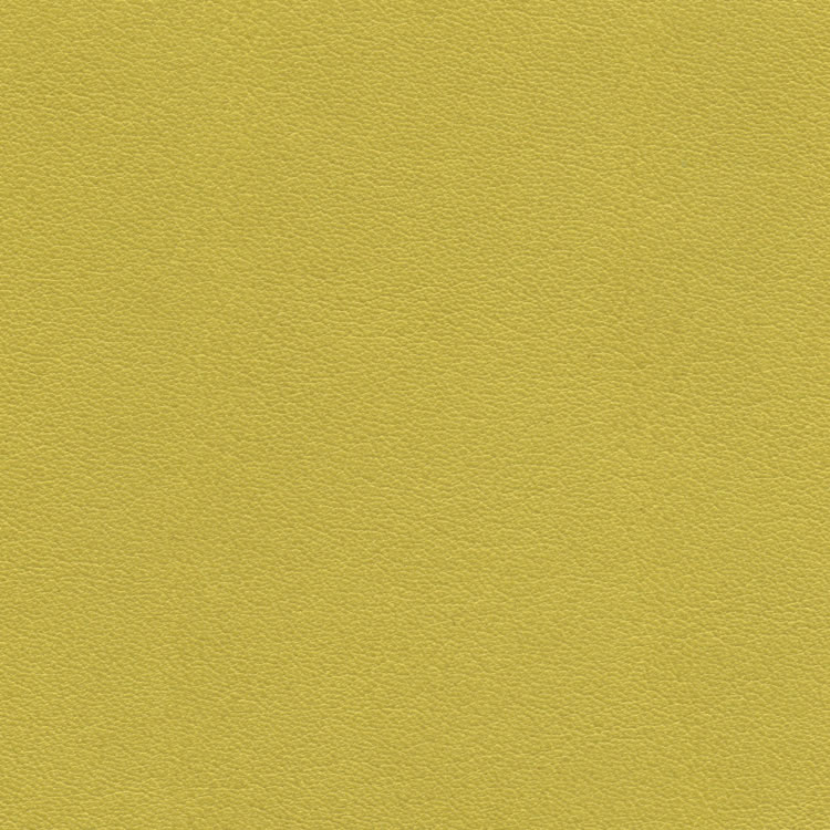Piel - C-580 - Verde lima