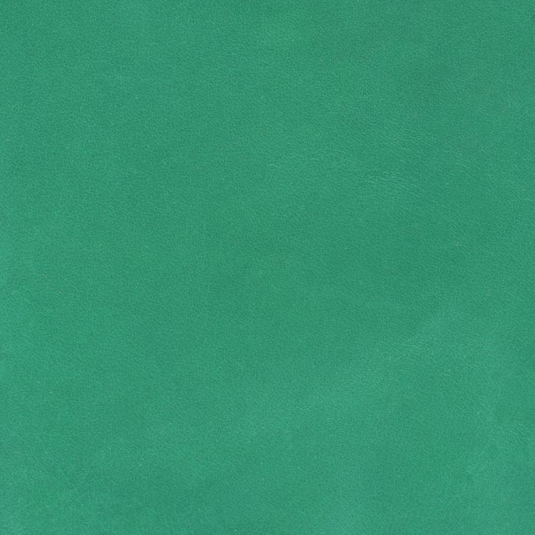 Piel - c-660