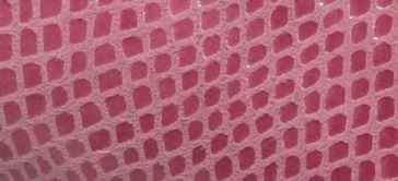 Serpiente - Fucsia