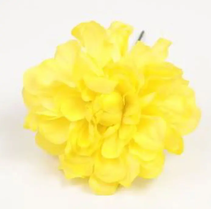 Zinnia. Fleur de Flamenco. Jaune. 9cm