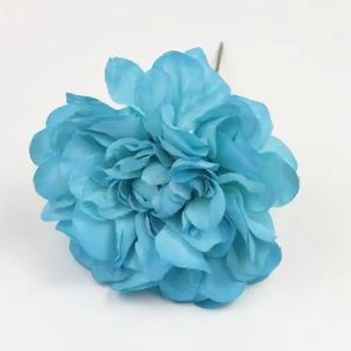 Zinnia. Flemish flower. Turquoise. 9cm