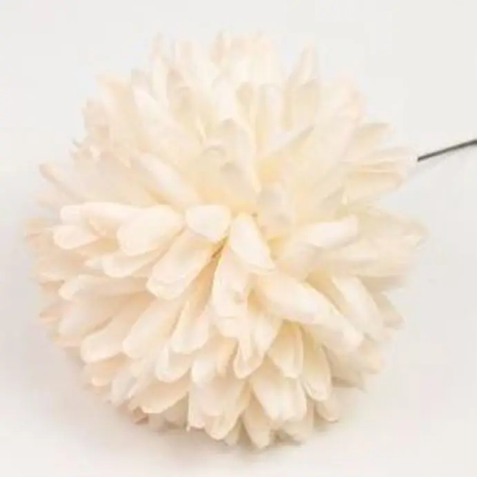 Flamenco Mum flower. Vanilla.12cm