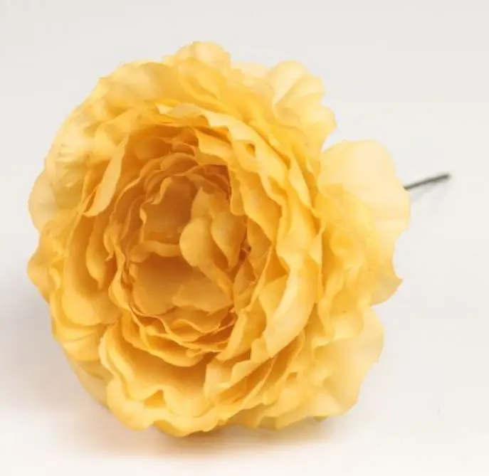 Flamenco Ranunculus Fleur Malaga. Jaune AM61. 9cm