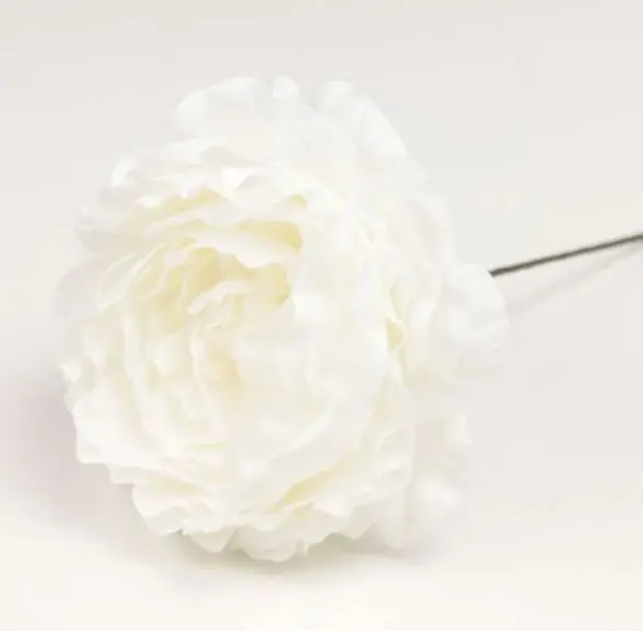 Flamenco Ranunculus flower Malaga. White. 9cm