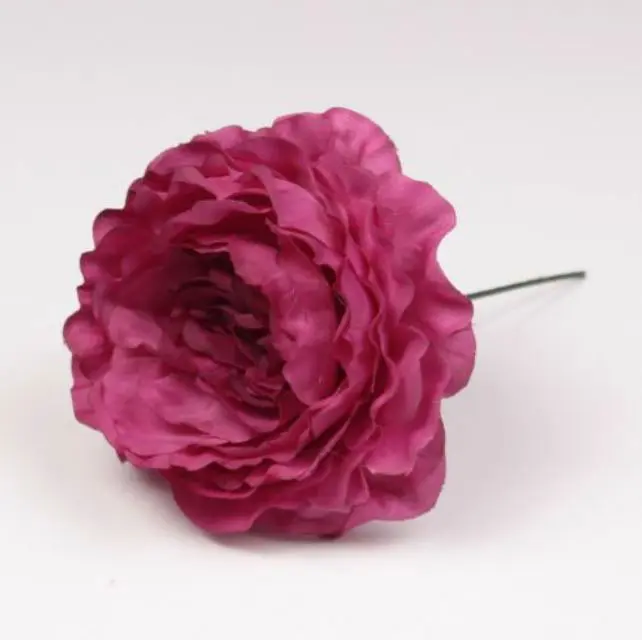 Flamenco Ranunculus flower Malaga. Bougainvillea 06. 9cm
