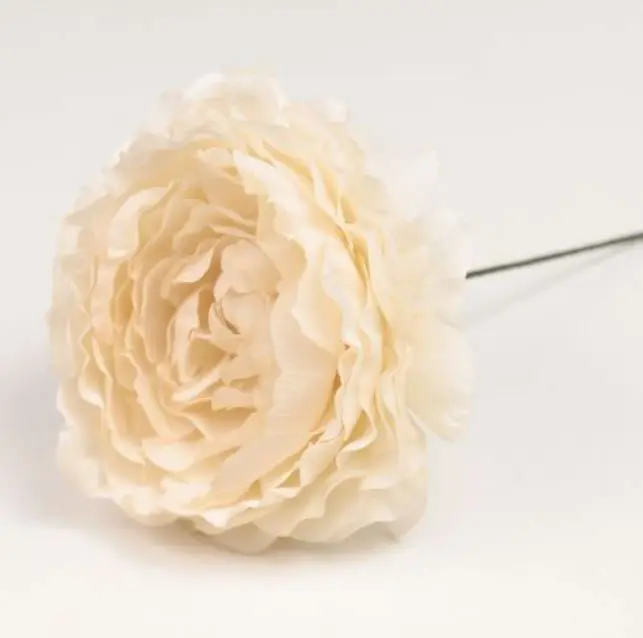 Flamenco Ranunculus flower Malaga. Ivory CR17. 9cm