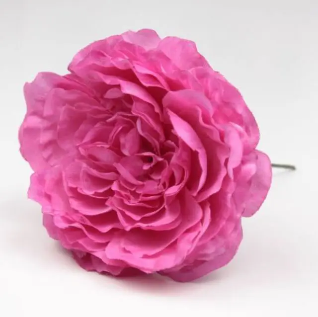 Flamenco Ranunculus flower Malaga. Fuchsia RS73. 9cm