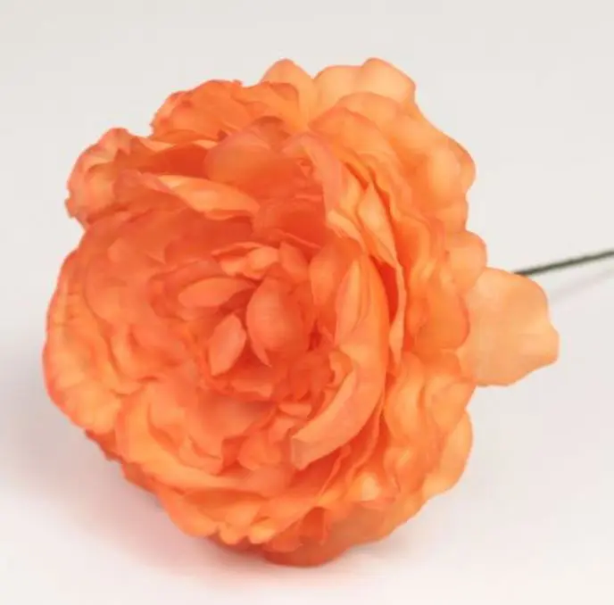 Flamenco Ranunculus Fleur Malaga. Orange. 9cm